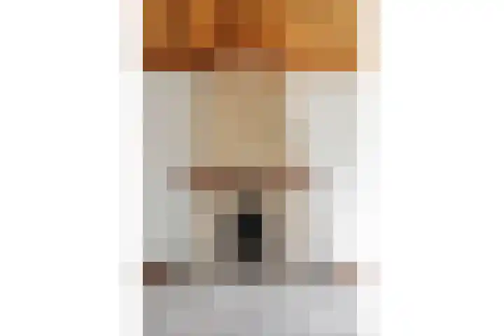 Ambachtsherenweg 74 Zoeterwoude thumbnail 9