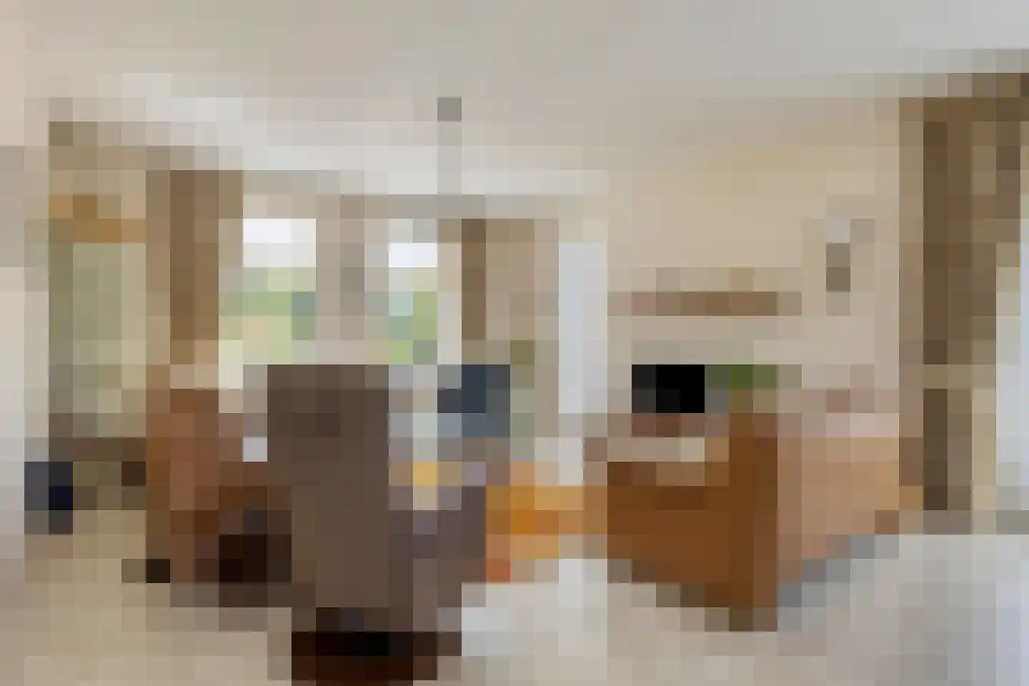 Ambachtsherenwegeling 25 Kapelle thumbnail 10