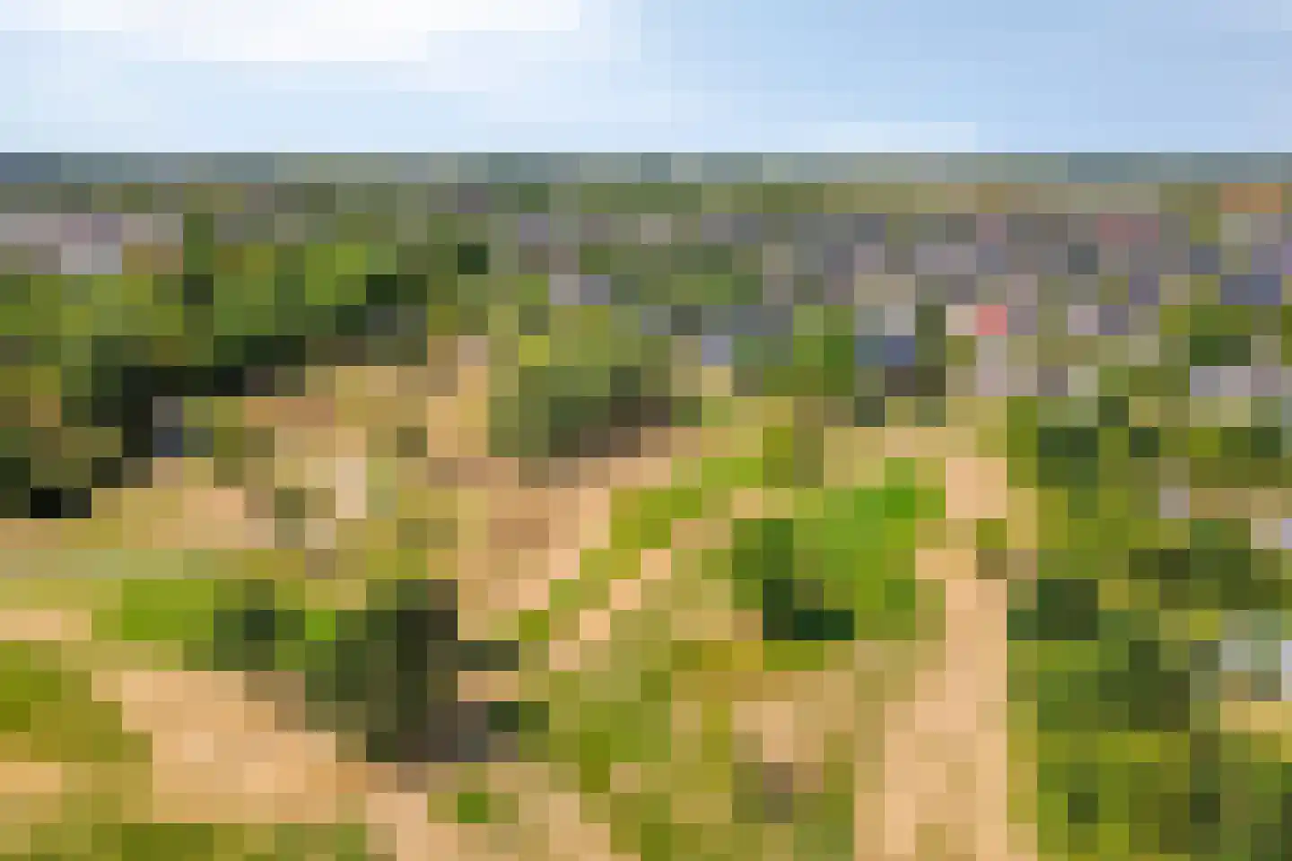 Ambachtsherenwegeling 25 Kapelle thumbnail 40