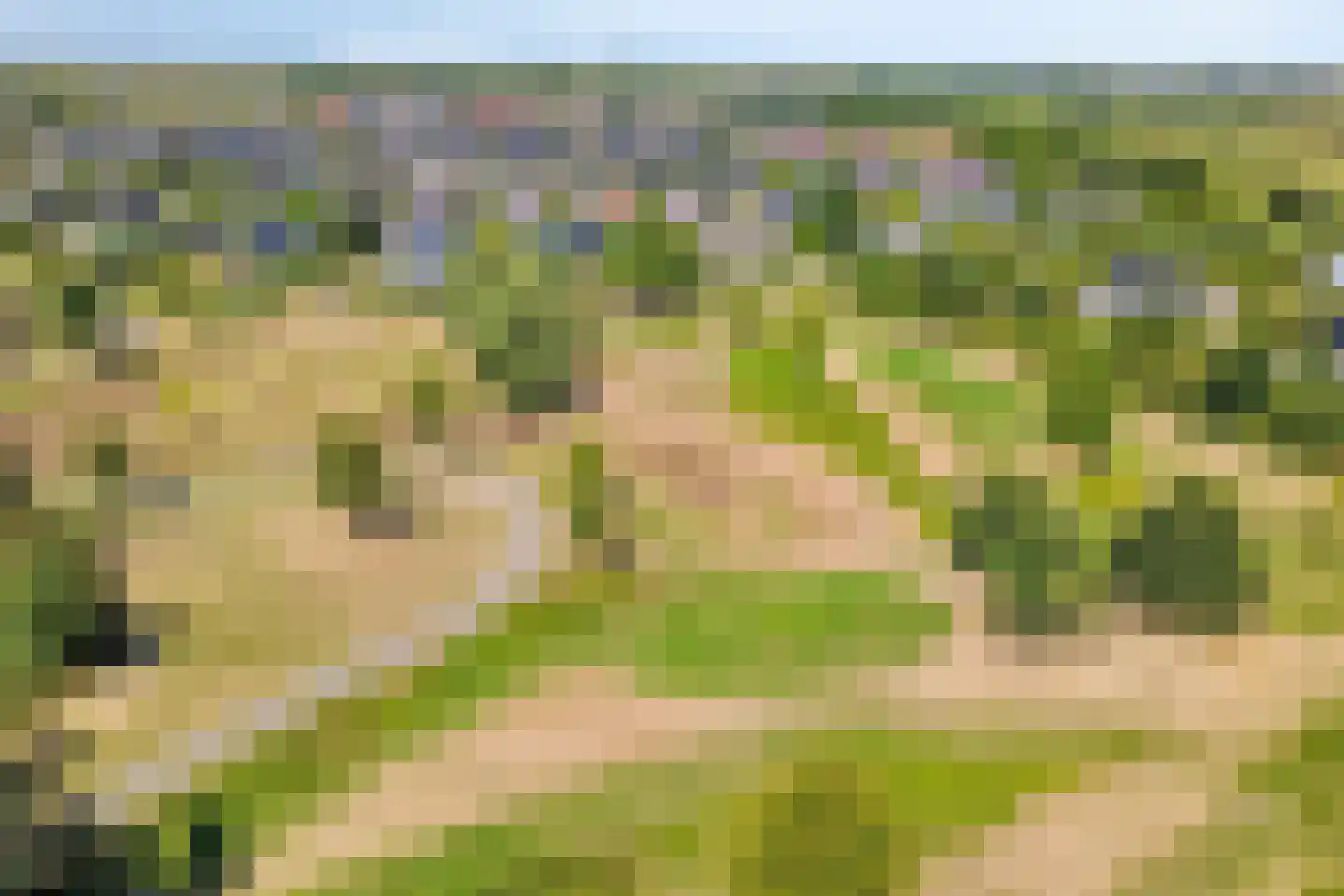 Ambachtsherenwegeling 25 Kapelle thumbnail 41