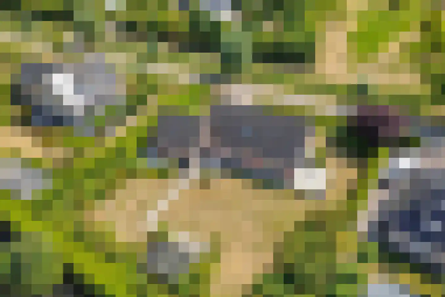 Ambachtsherenwegeling 25 Kapelle thumbnail 5