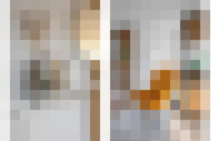 Ambachtshof 1 Bergharen thumbnail 10