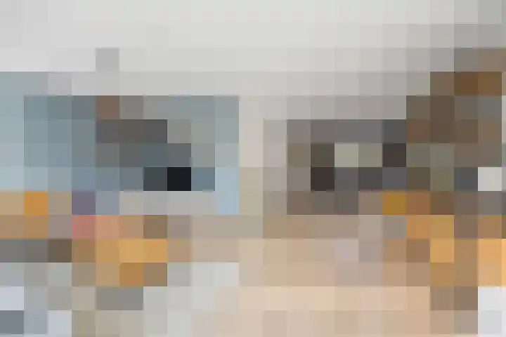 Ambachtshof 1 Bergharen thumbnail 11