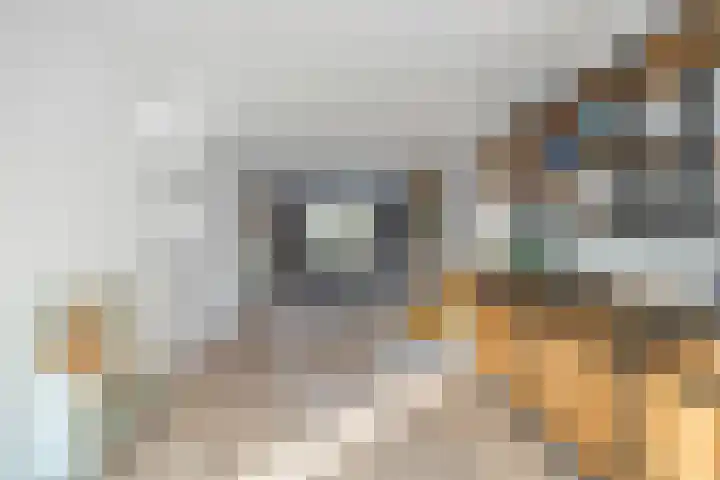 Ambachtshof 1 Bergharen thumbnail 12