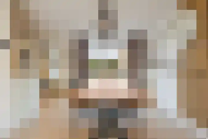 Ambachtshof 1 Bergharen thumbnail 13