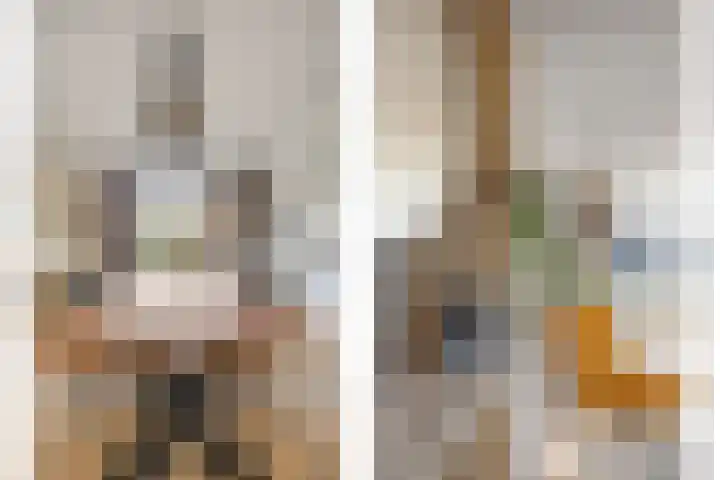 Ambachtshof 1 Bergharen thumbnail 14