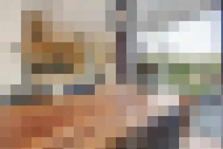 Ambachtshof 1 Bergharen thumbnail 15