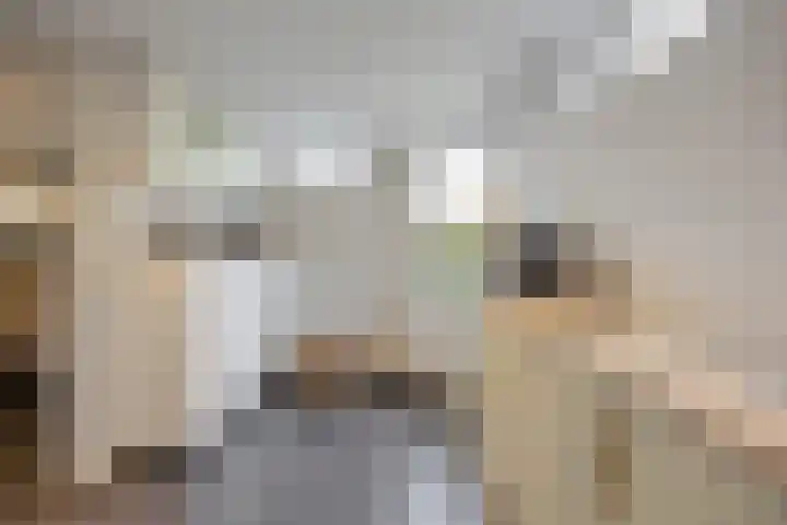 Ambachtshof 1 Bergharen thumbnail 19