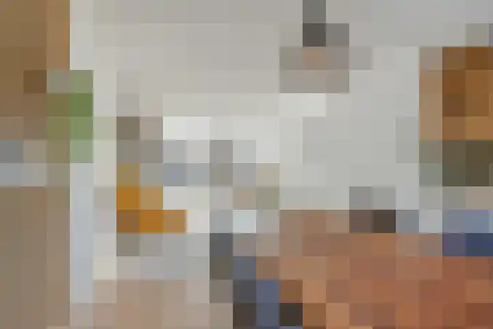 Ambachtshof 1 Bergharen foto 2