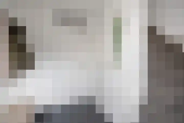 Ambachtshof 1 Bergharen thumbnail 28
