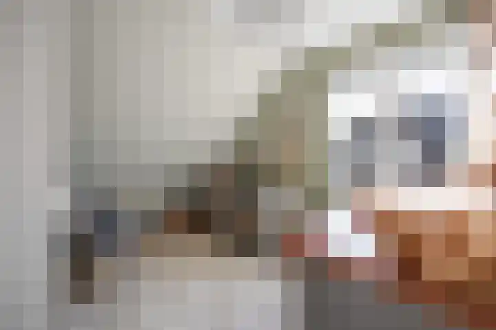 Ambachtshof 1 Bergharen thumbnail 30