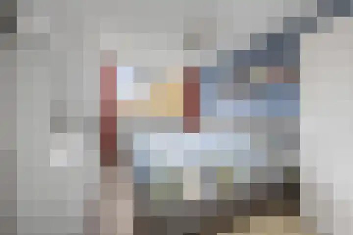 Ambachtshof 1 Bergharen thumbnail 33