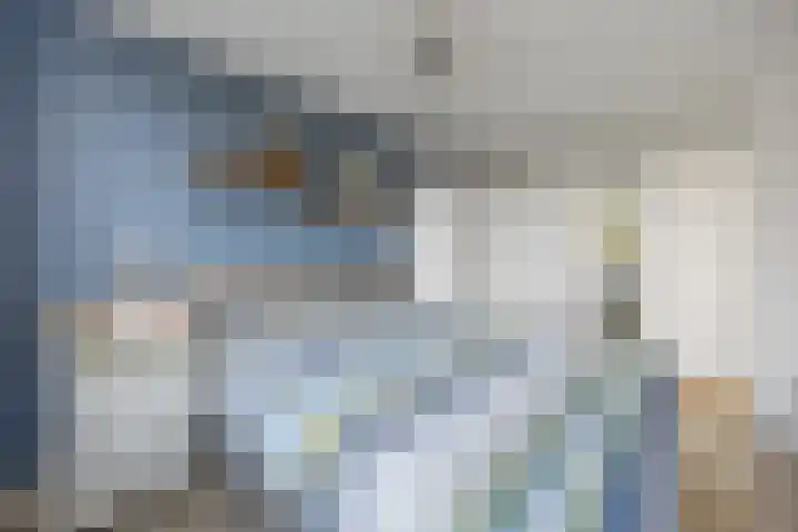 Ambachtshof 1 Bergharen thumbnail 34