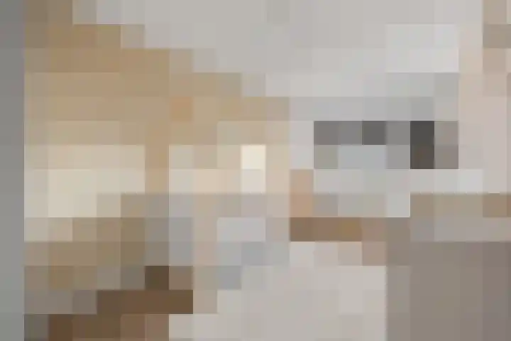Ambachtshof 1 Bergharen thumbnail 36