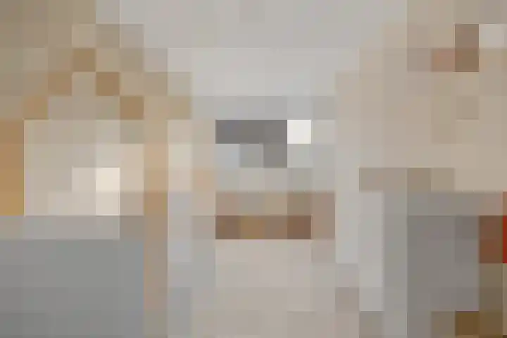 Ambachtshof 1 Bergharen thumbnail 37