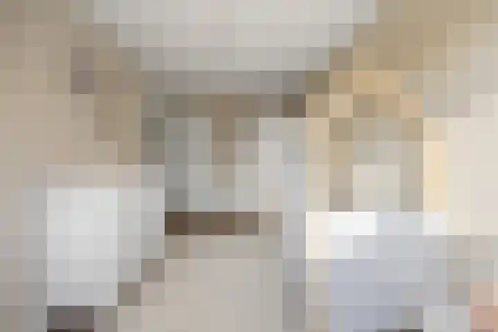 Ambachtshof 1 Bergharen thumbnail 38