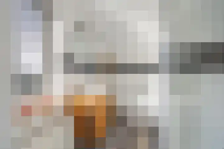Ambachtshof 1 Bergharen thumbnail 40