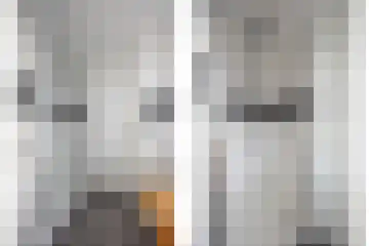 Ambachtshof 1 Bergharen thumbnail 43