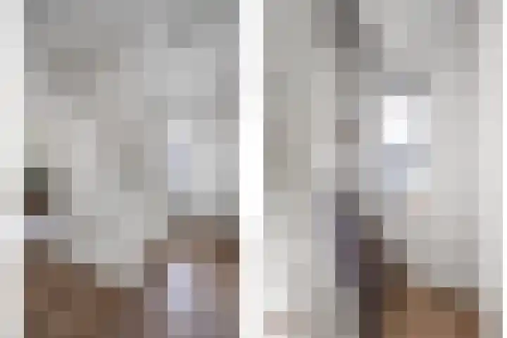 Ambachtshof 1 Bergharen thumbnail 44