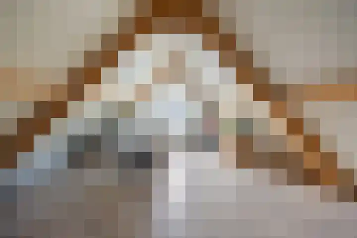 Ambachtshof 1 Bergharen thumbnail 45