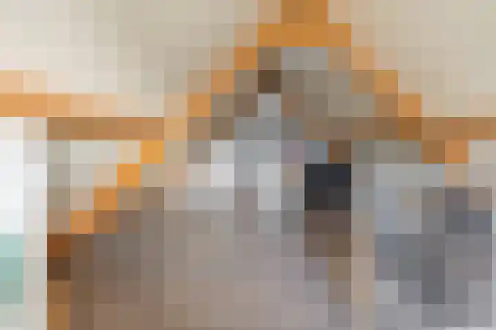 Ambachtshof 1 Bergharen thumbnail 46