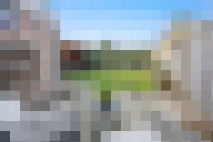 Ambachtshof 1 Bergharen thumbnail 47