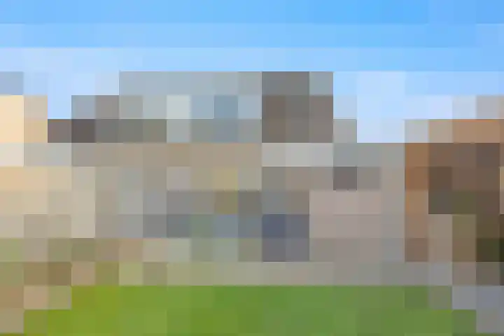 Ambachtshof 1 Bergharen thumbnail 49