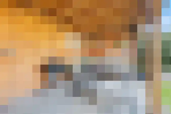 Ambachtshof 1 Bergharen thumbnail 52