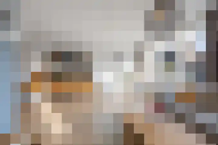 Ambachtshof 1 Bergharen thumbnail 7