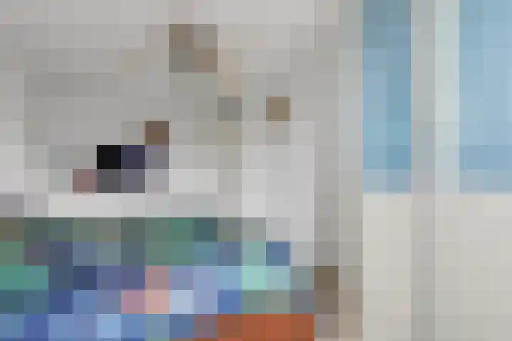 Ambachtshof 10 Ridderkerk thumbnail 20