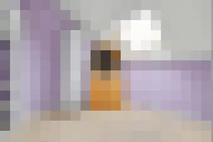 Ambachtshof 10 Ridderkerk thumbnail 30