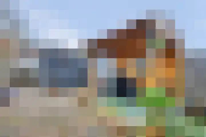 Ambachtshof 10 Ridderkerk thumbnail 35