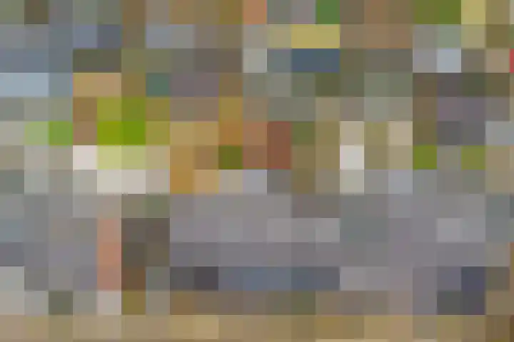 Ambachtshof 10 Ridderkerk thumbnail 39