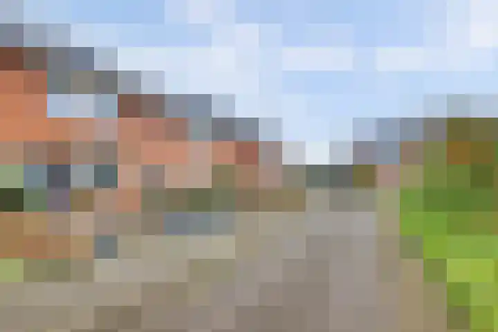 Ambachtshof 10 Ridderkerk thumbnail 7