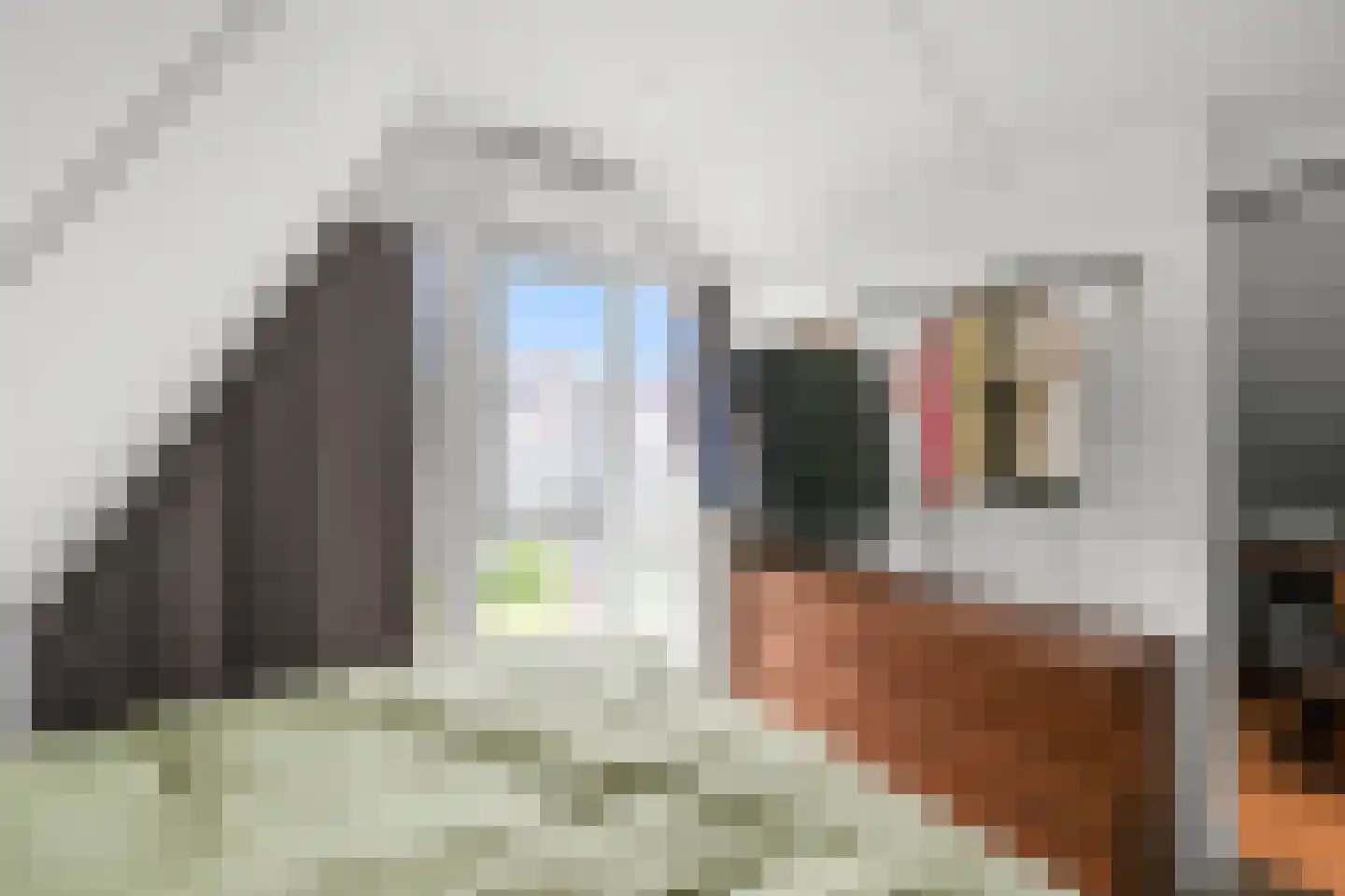 Ambachtshof 16 De Kwakel thumbnail 12