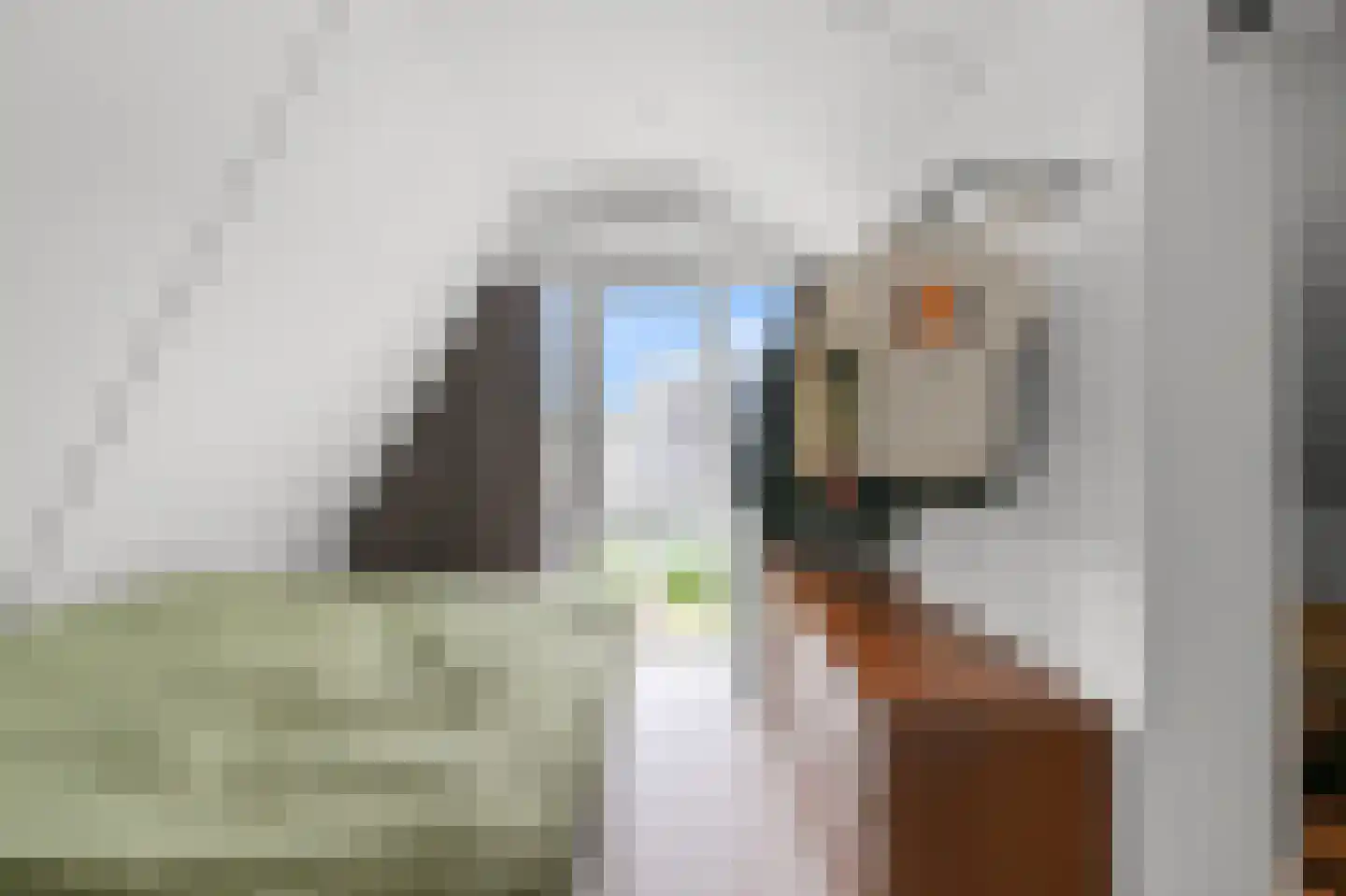 Ambachtshof 16 De Kwakel thumbnail 13