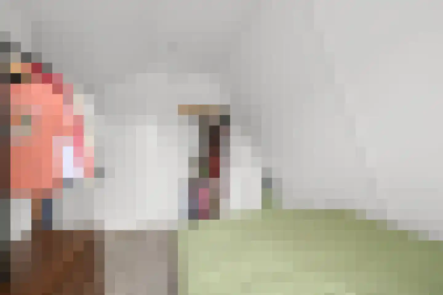 Ambachtshof 16 De Kwakel thumbnail 14
