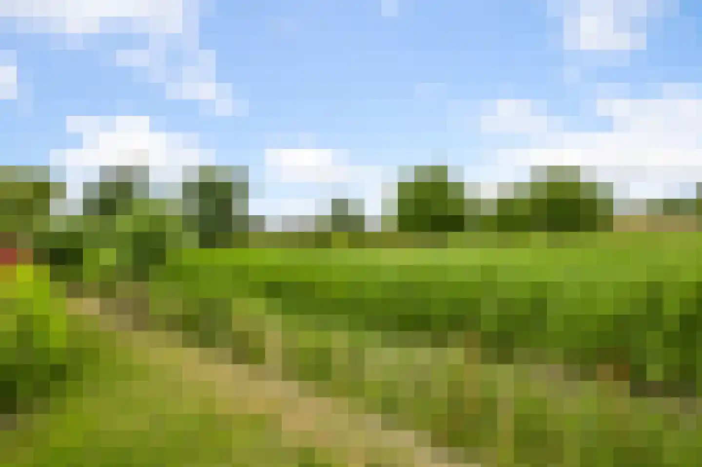 Ambachtshof 16 De Kwakel thumbnail 22