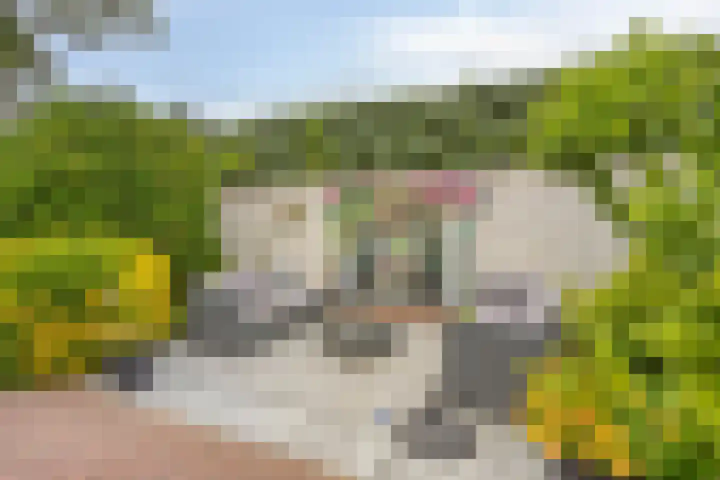 Ambachtshof 19 Wateringen thumbnail 22