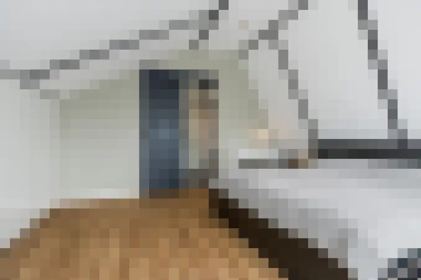 Ambachtshof 26 De Kwakel thumbnail 18