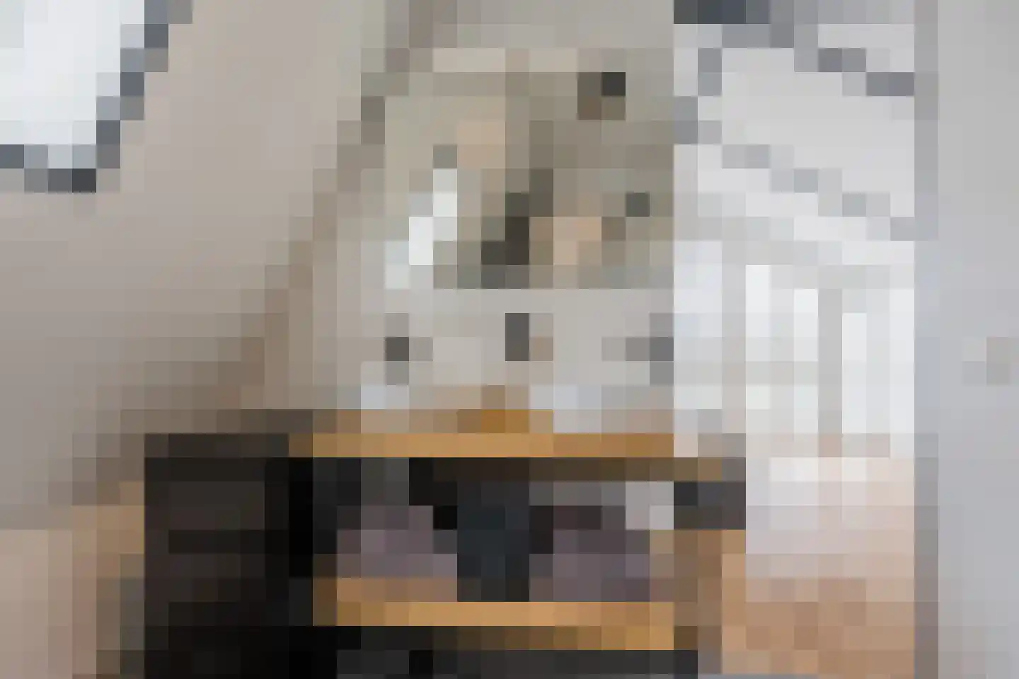 Ambachtshof 26 De Kwakel thumbnail 20