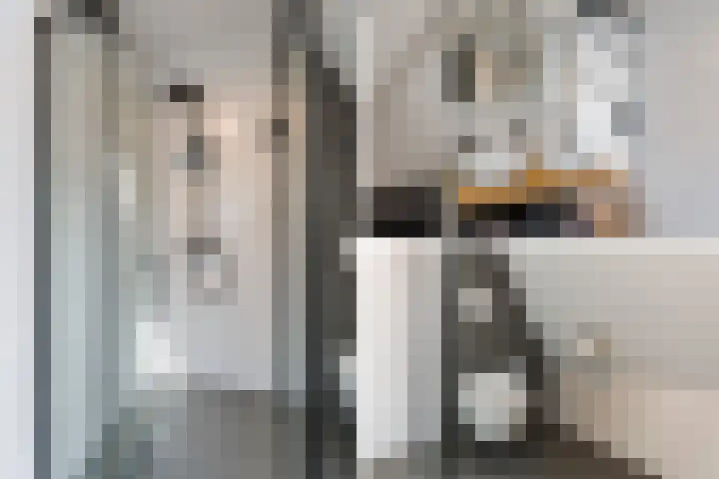 Ambachtshof 26 De Kwakel thumbnail 21