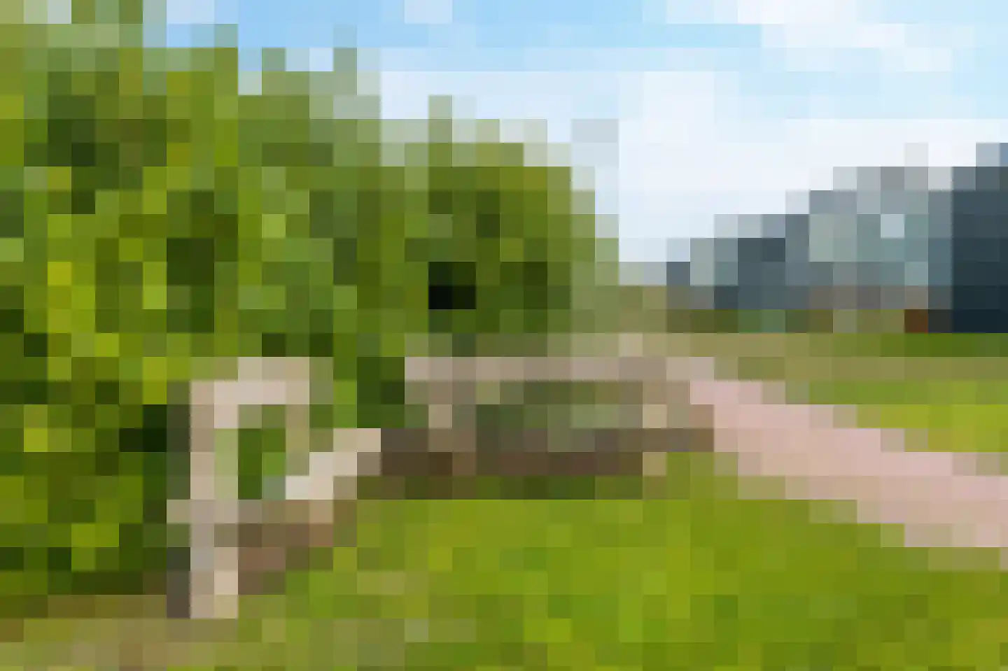 Ambachtshof 26 De Kwakel thumbnail 33
