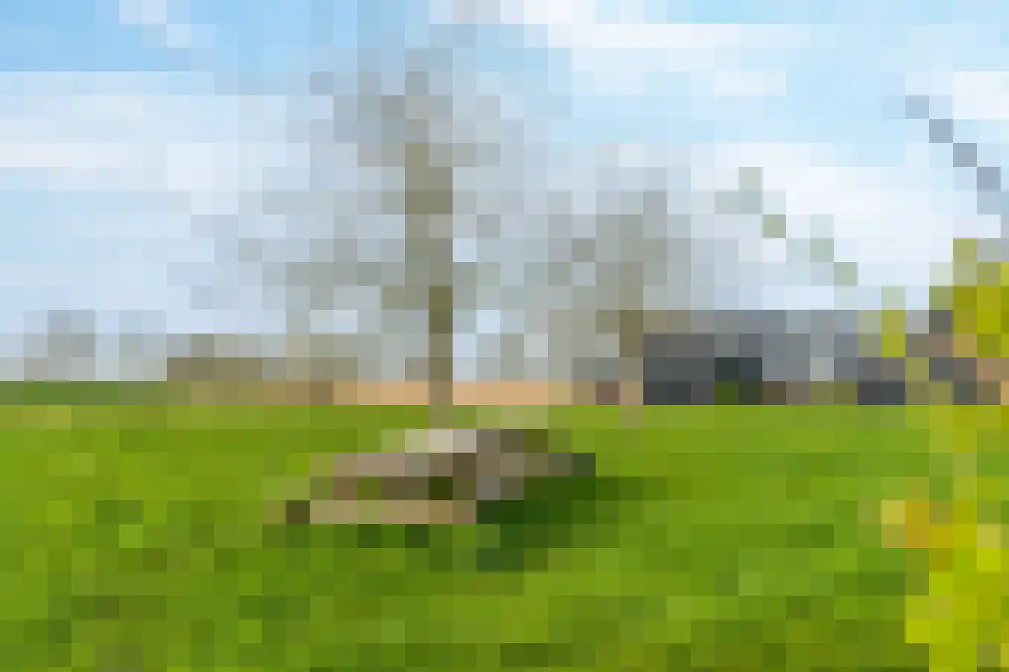 Ambachtshof 26 De Kwakel thumbnail 37