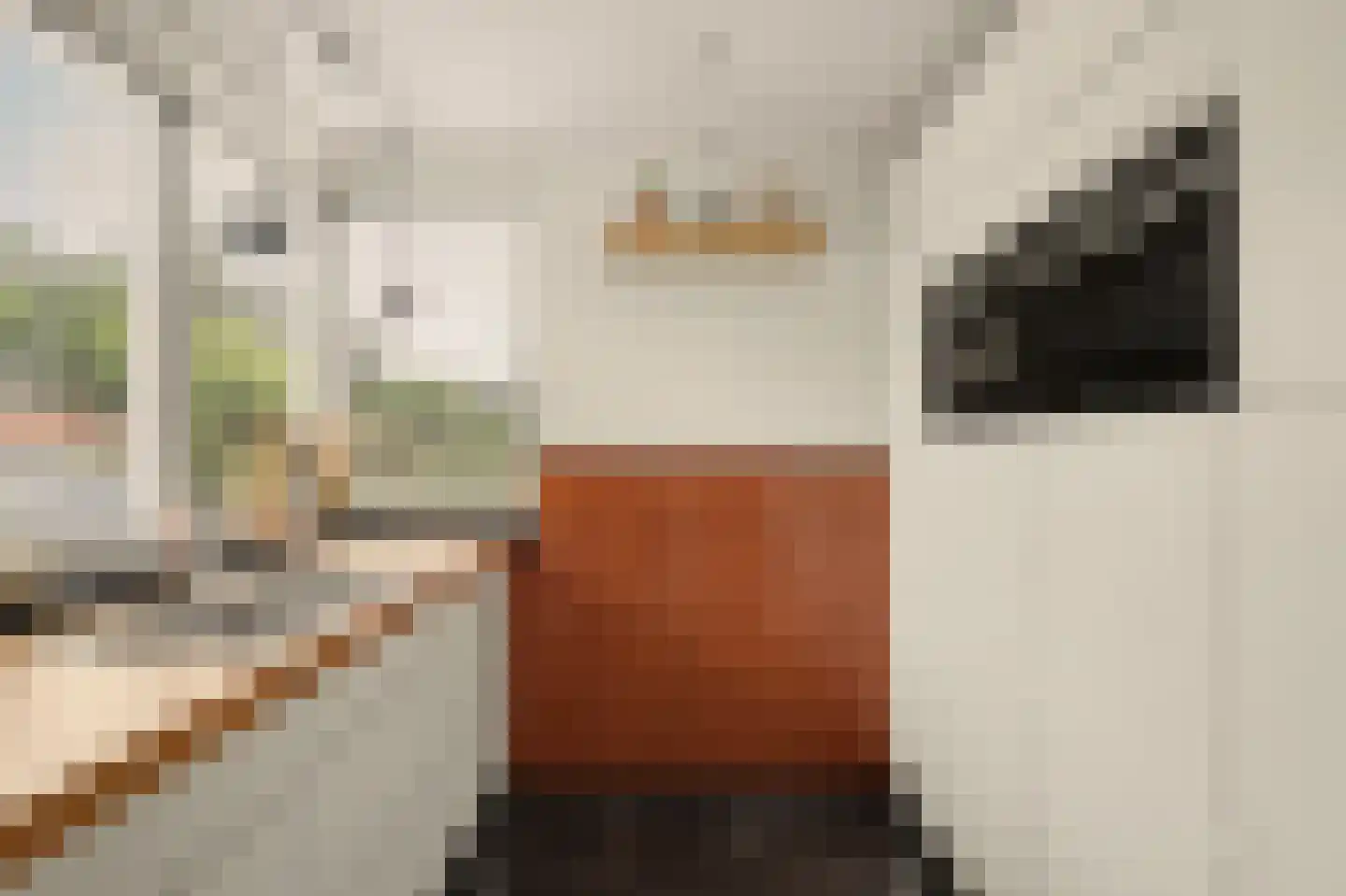 Ambachtshof 29 Ridderkerk thumbnail 18