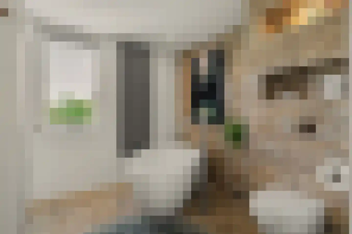 Ambachtshof 29 Ridderkerk thumbnail 31