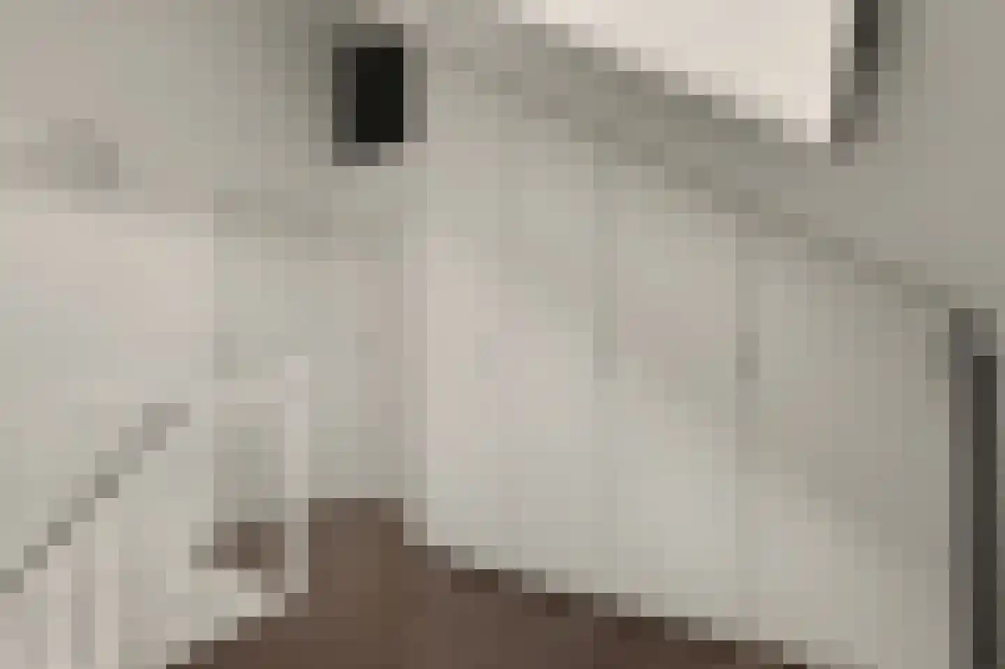 Ambachtshof 29 Ridderkerk thumbnail 37