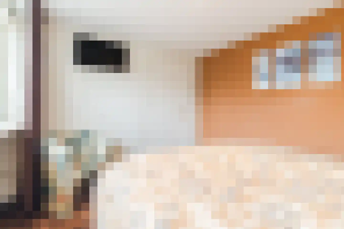 Ambachtshof 36 Bodegraven thumbnail 23