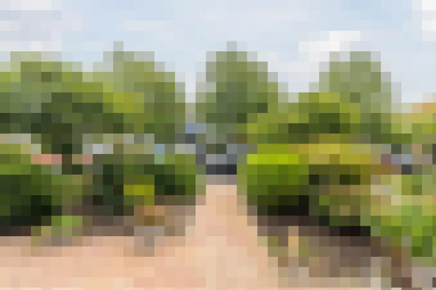 Ambachtshof 36 Bodegraven thumbnail 9