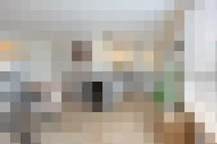 Ambachtshof 4 Bergharen thumbnail 16